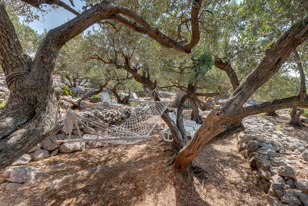Holiday home Nikol Veli Lošinj Dış mekan fotoğraf