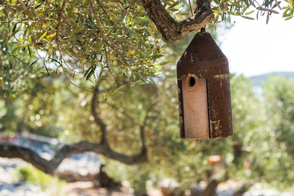 Holiday home Nikol Veli Lošinj Dış mekan fotoğraf
